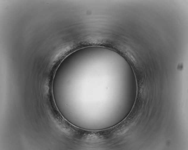 X0000093740635200710231212