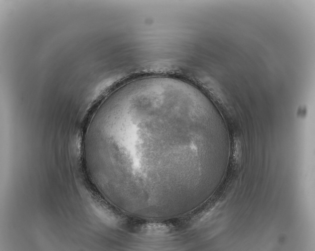 X0000093740636200710231212