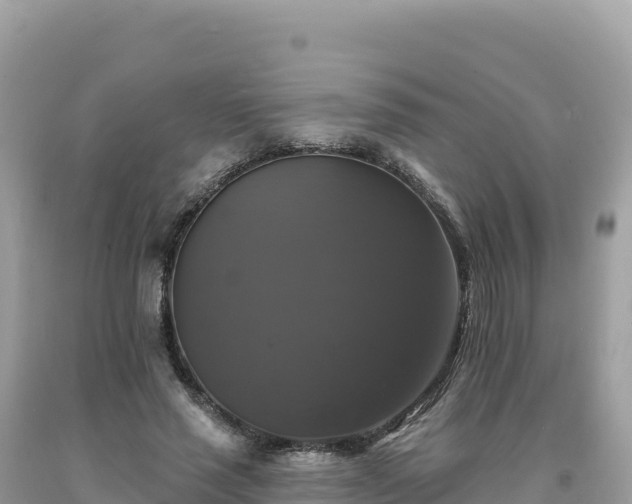 X0000093740637200710231212