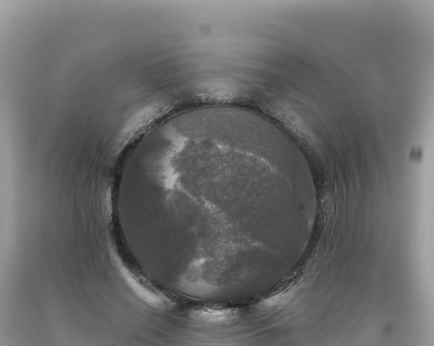 X0000093740638200710231212
