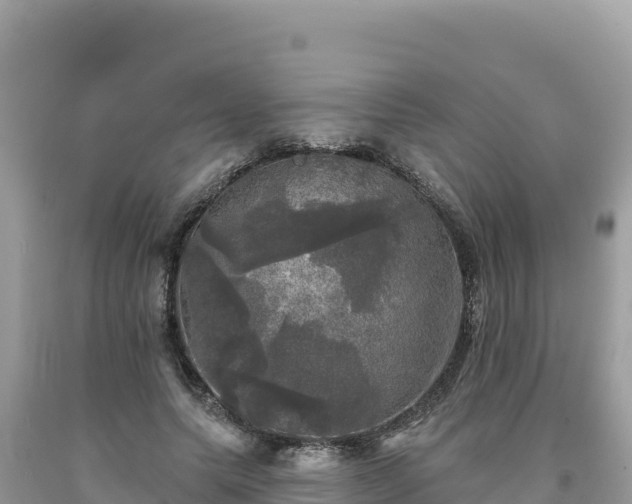 X0000093740639200710231212