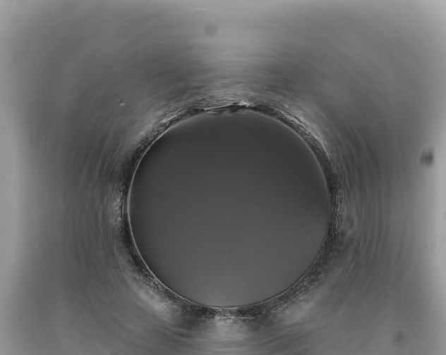 X0000093740641200710231212
