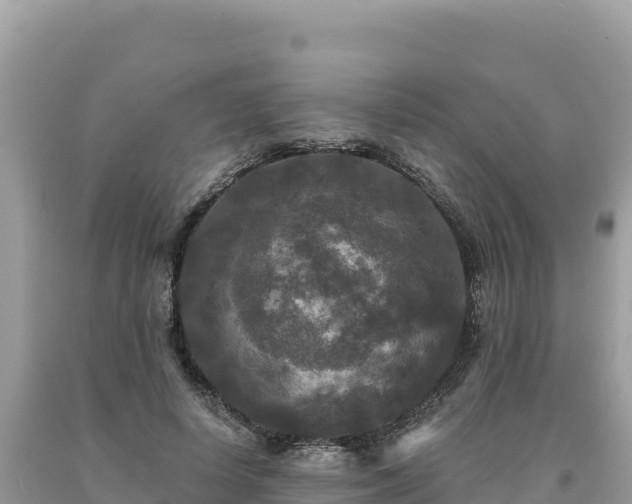 X0000093740642200710231212
