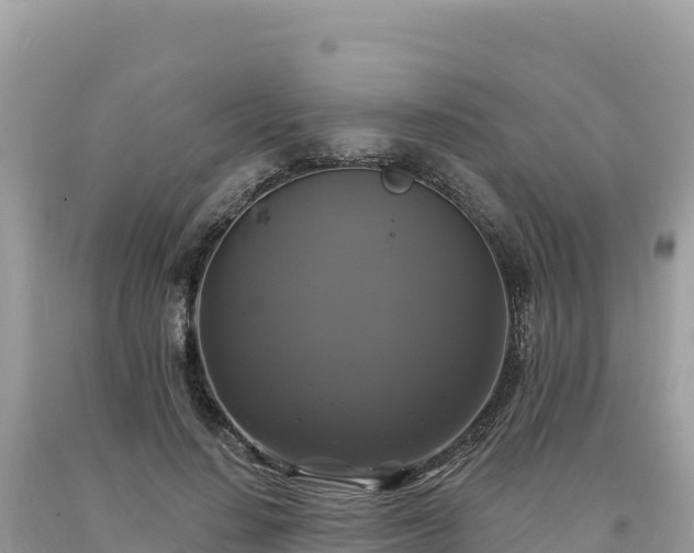 X0000093740644200710231212