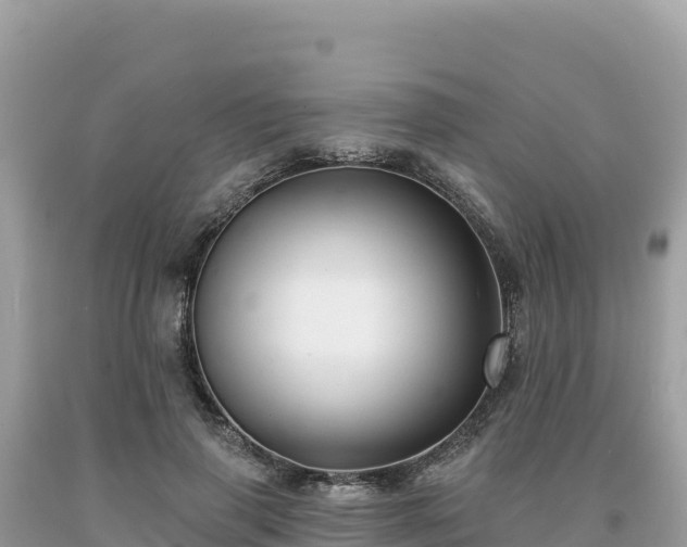 X0000093740645200710231212