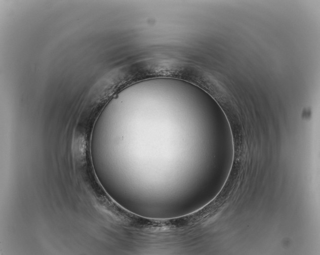 X0000093740646200710231212
