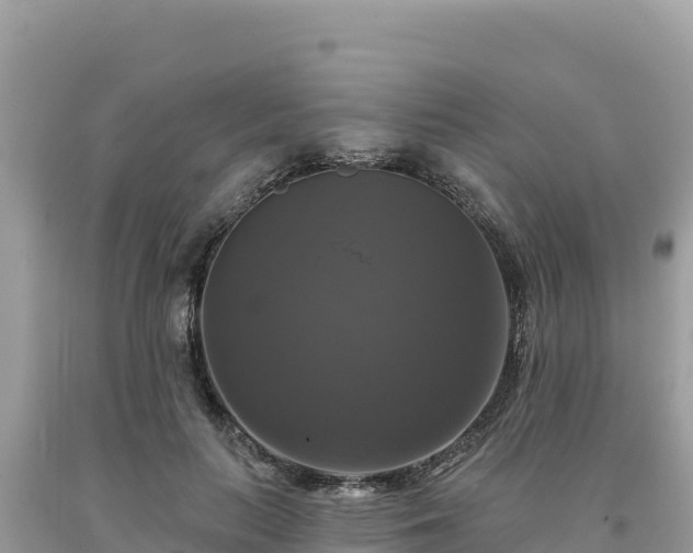 X0000093740647200710231212