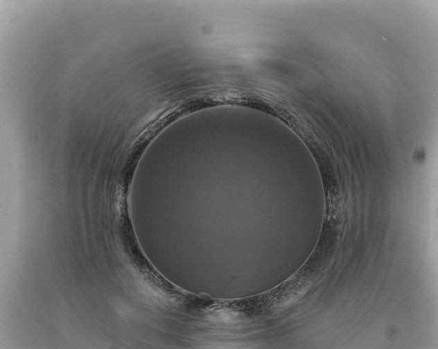 X0000093740648200710231212