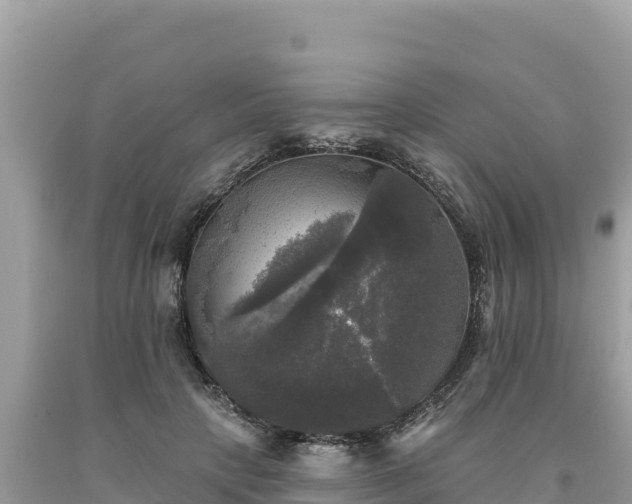 X0000093740649200710231212