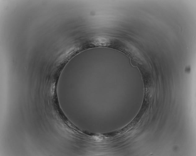 X0000093740652200710231212
