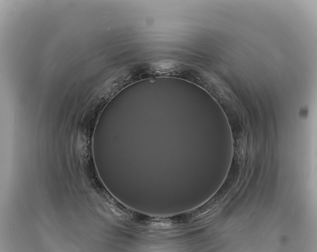 X0000093740653200710231212