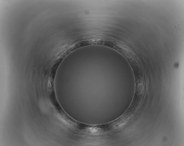 X0000093740654200710231212