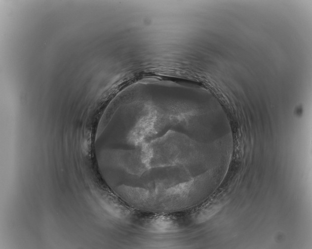 X0000093740656200710231212