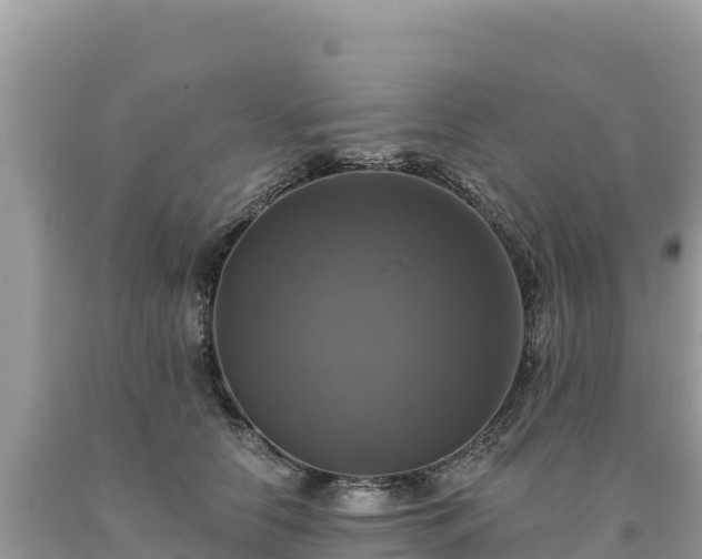 X0000093740658200710231212
