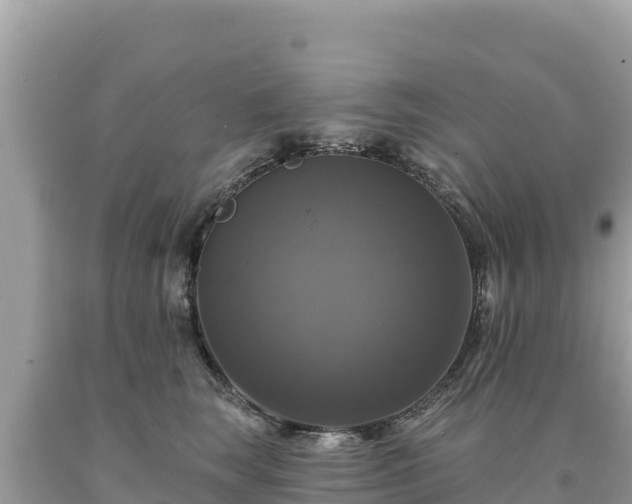 X0000093740663200710231212