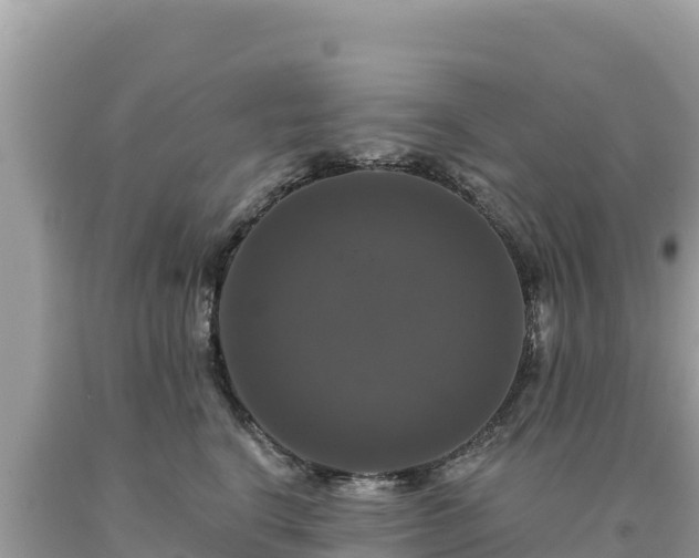 X0000093740664200710231212