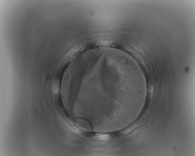 X0000093740665200710231212
