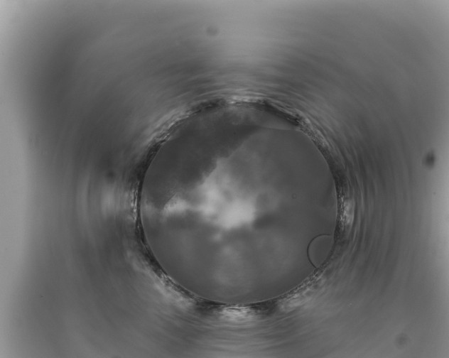 X0000093740666200710231212