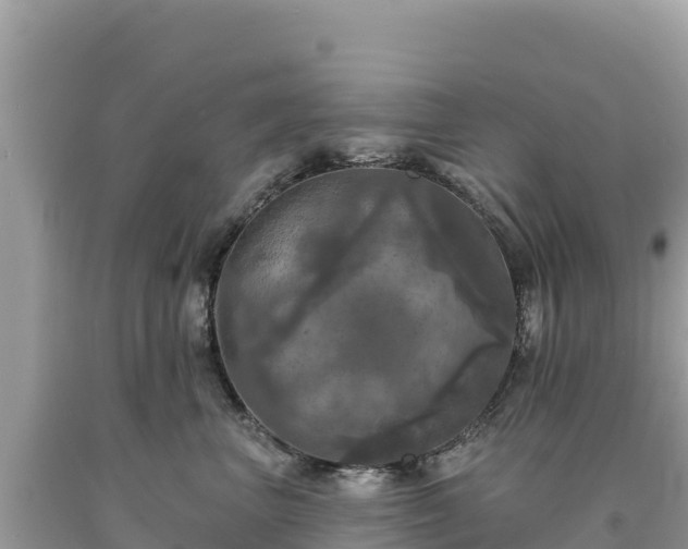 X0000093740667200710231212