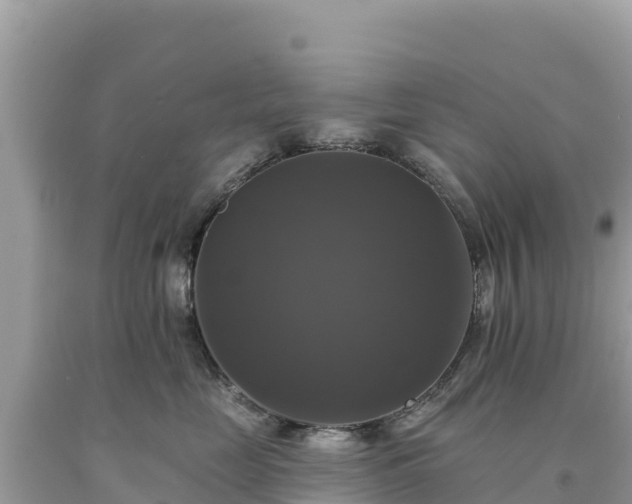 X0000093740669200710231212