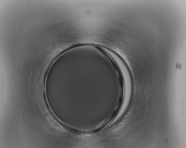 X0000093740673200710231212
