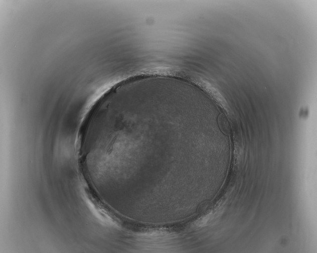 X0000093740674200710231212