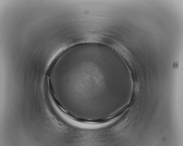 X0000093740676200710231212