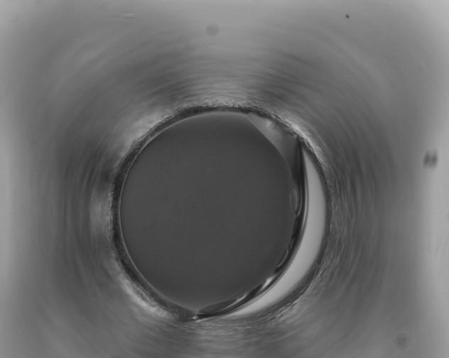 X0000093740677200710231212