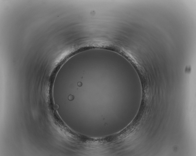 X0000093740679200710231212