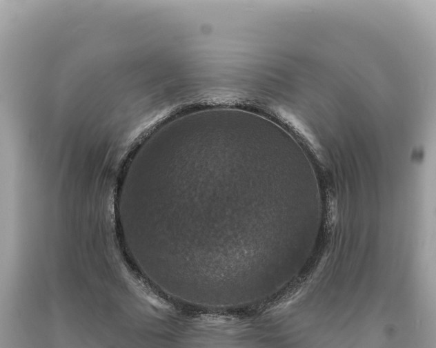 X0000093740681200710231212