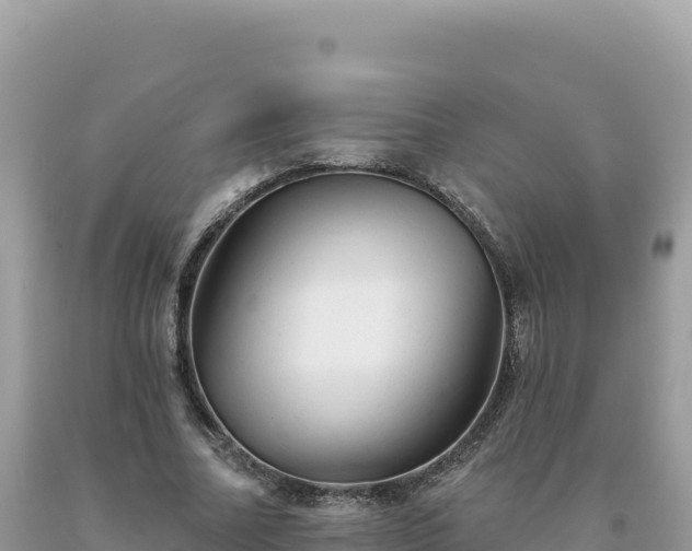 X0000093740682200710231212