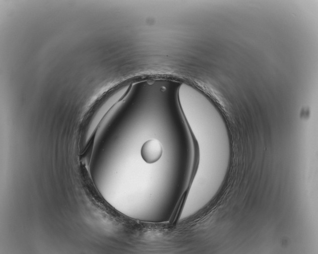 X0000093740684200710231212