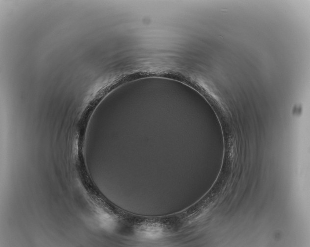X0000093740685200710231212