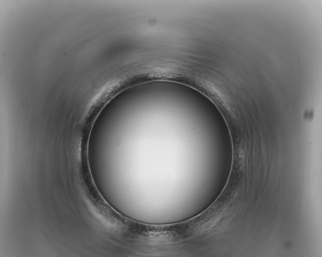 X0000093740686200710231212