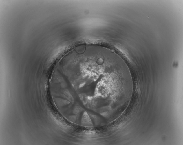 X0000093740687200710231212