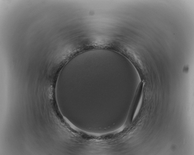 X0000093740689200710231212