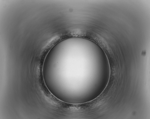 X0000093740690200710231212