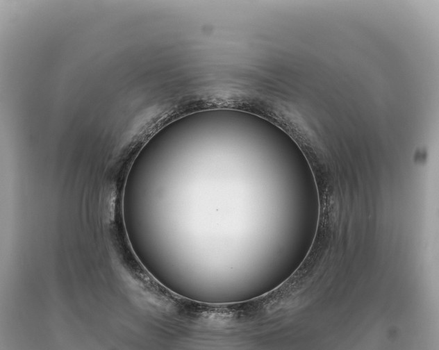 X0000093740694200710231211