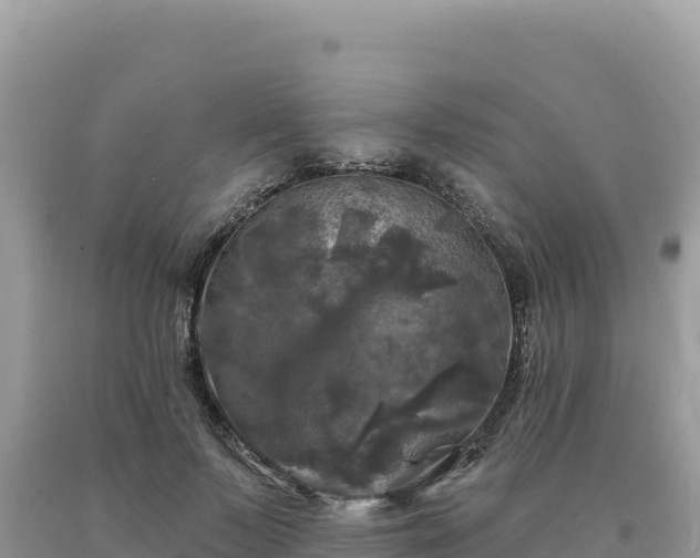 X0000093740695200710231211