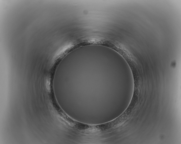 X0000093740696200710231211