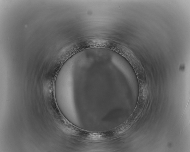 X0000093740701200710231211
