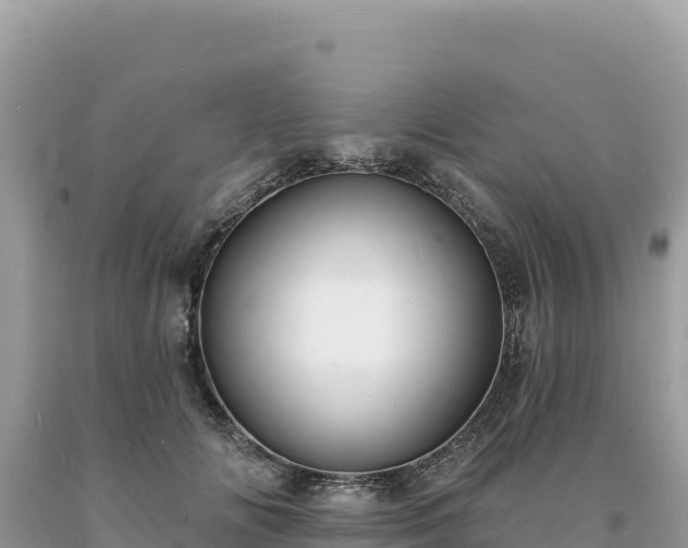 X0000093740702200710231211