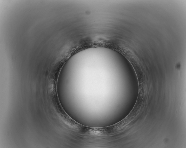 X0000093740706200710231211