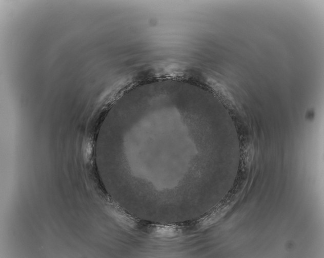 X0000093740709200710231211
