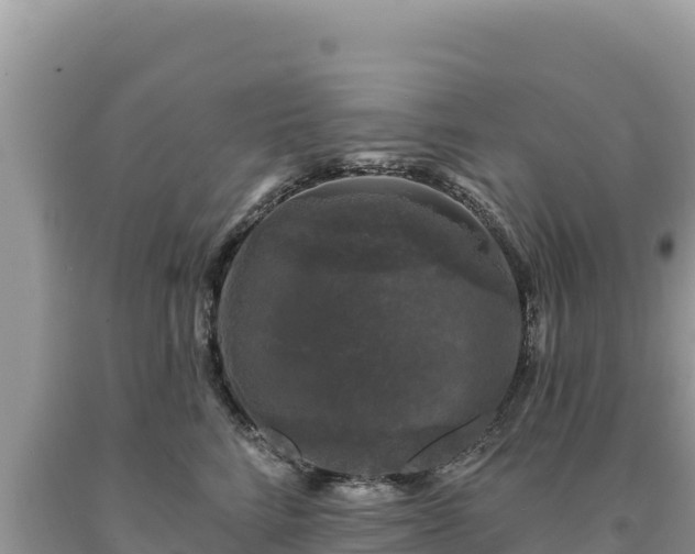 X0000093740712200710231211