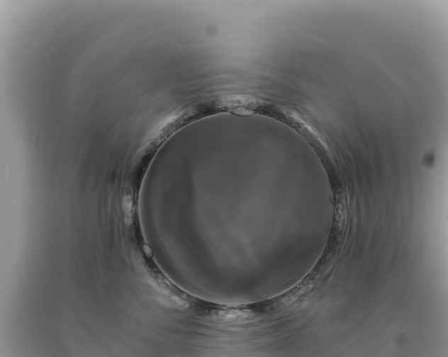 X0000093740716200710231211