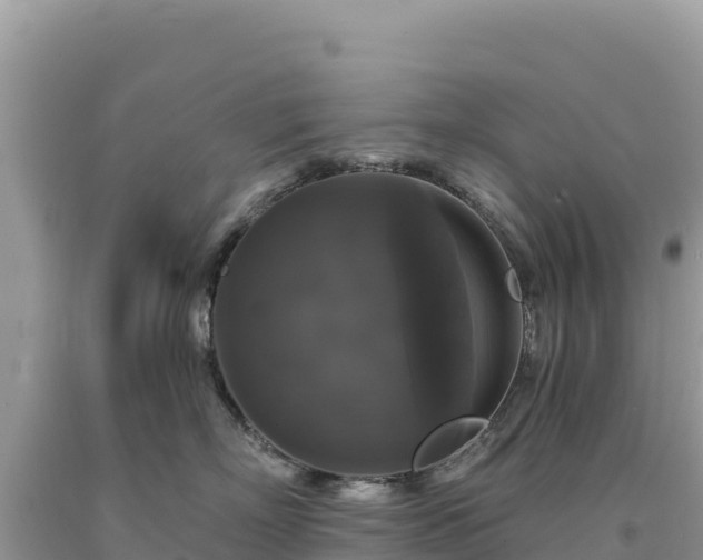 X0000093740718200710231211