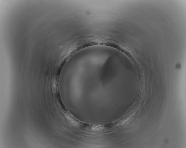 X0000093740720200710231211