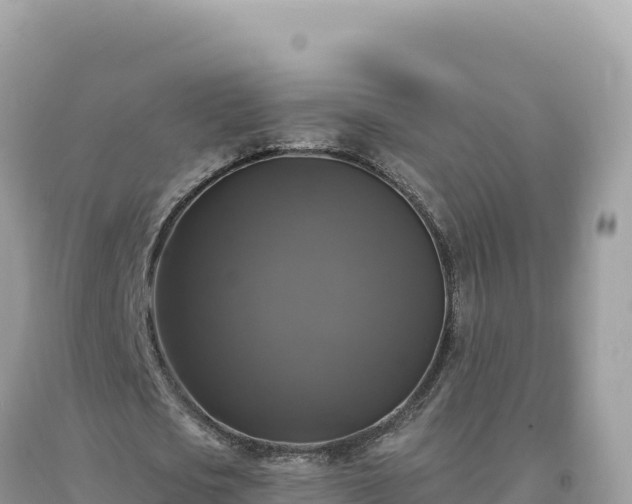 X0000093740721200710231210
