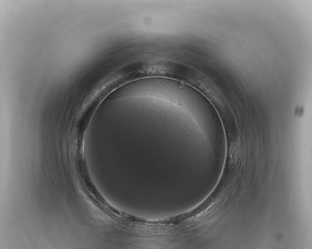 X0000093740722200710231210